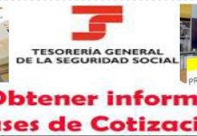 STSYS Informa | Grupo De Cotizaciones | A Qual Perteneces? Grupo De Cotizaciones