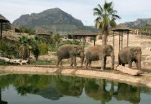 ACUERDO CON TERRA NATURA BENIDORM INVIERNO ACUERDO CON TERRA NATURA BENIDORM