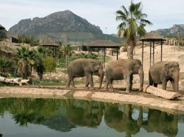 ACUERDO CON TERRA NATURA BENIDORM INVIERNO ACUERDO CON TERRA NATURA BENIDORM