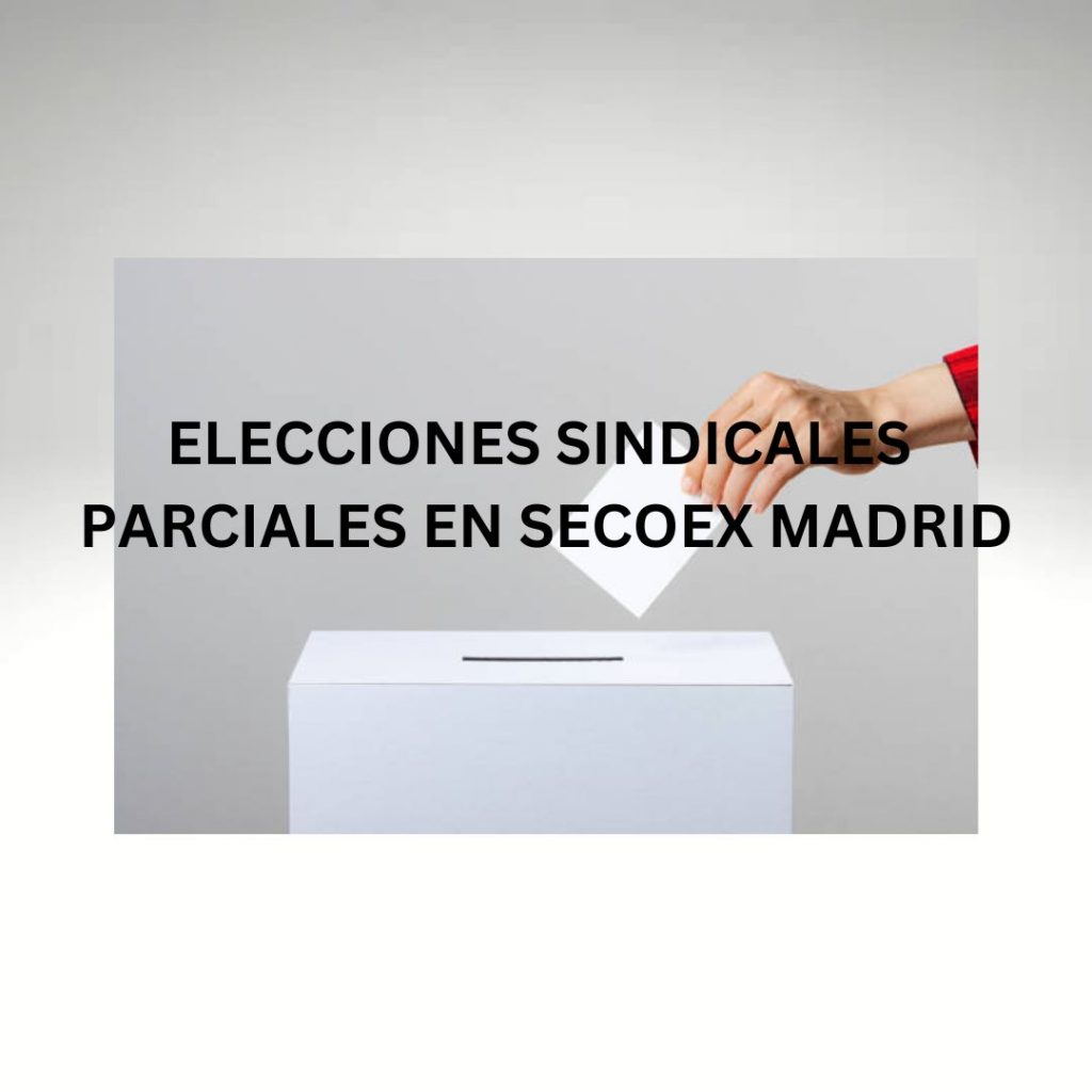 ELECCIONES SINDICALES PARCIALES EN SECOEX MADRID