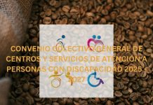 CONVENIO COLECTIVO GENERAL DE CENTROS Y SERVICIOS DE ATENCIÓN A PERSONAS CON DISCAPACIDAD 2025 – 2027 CONVENIO COLECTIVO GENERAL DE CENTROS Y SERVICIOS DE ATENCIÓN A PERSONAS CON DISCAPACIDAD 2025 - 2027