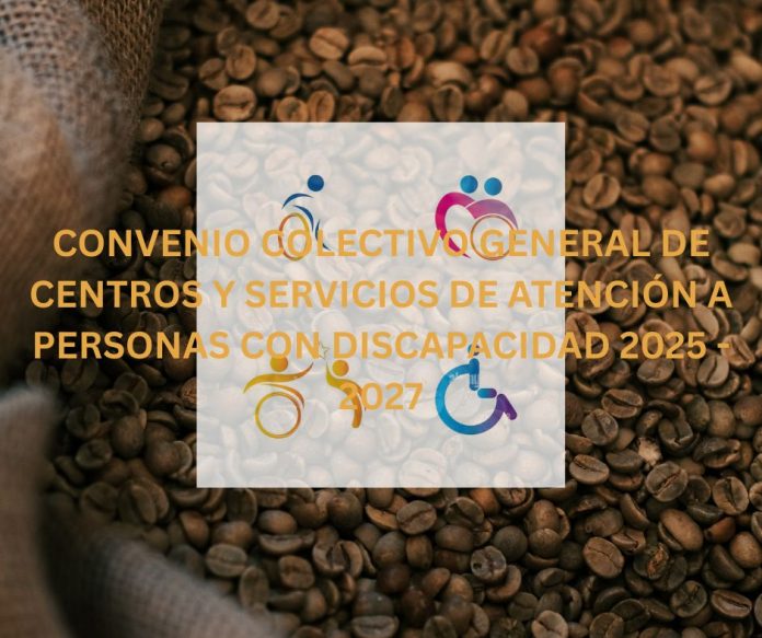 CONVENIO COLECTIVO GENERAL DE CENTROS Y SERVICIOS DE ATENCIÓN A PERSONAS CON DISCAPACIDAD 2025 - 2027