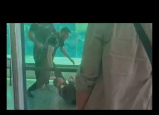 CARTA ABIERTA PRESIDENTE DE SUPERMERCADOS MERCADONA