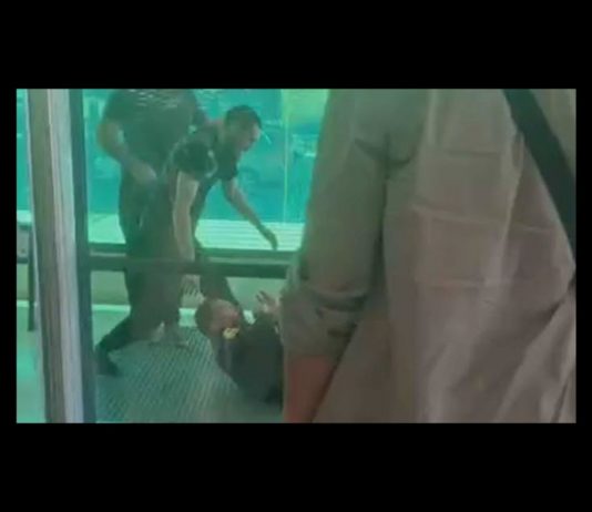 CARTA ABIERTA PRESIDENTE DE SUPERMERCADOS MERCADONA