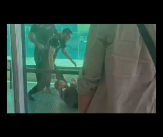 CARTA ABIERTA PRESIDENTE DE SUPERMERCADOS MERCADONA