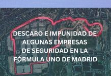 DESCARO E IMPUNIDAD DE ALGUNAS EMPRESAS DE SEGURIDAD EN LA FÓRMULA UNO DE MADRID DESCARO E IMPUNIDAD DE ALGUNAS EMPRESAS DE SEGURIDAD EN LA FÓRMULA UNO DE MADRID